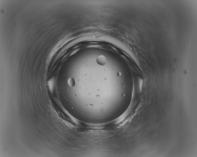 X0000065970150200603101406