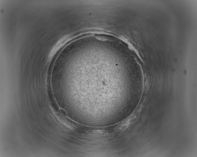 X0000065970151200603101406