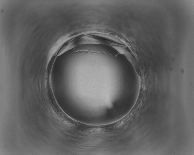 X0000065970152200603101406