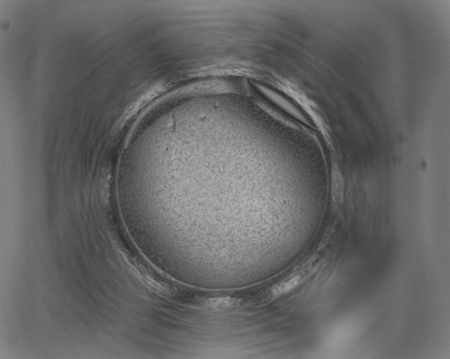 X0000065970153200603101406