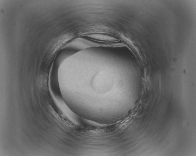 X0000065970154200603101406