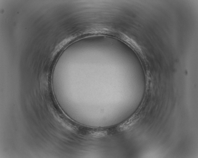 X0000065970155200603101406