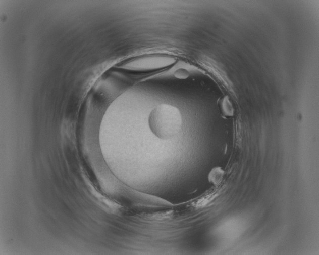 X0000065970156200603101406