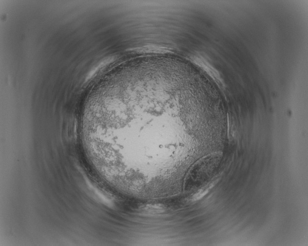 X0000065970157200603101406