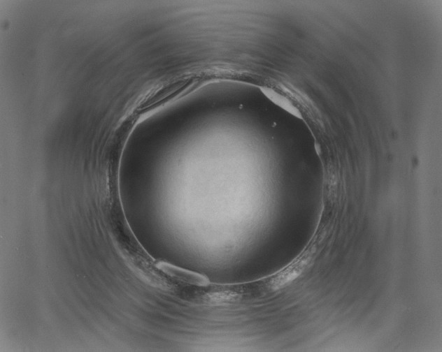 X0000065970158200603101406