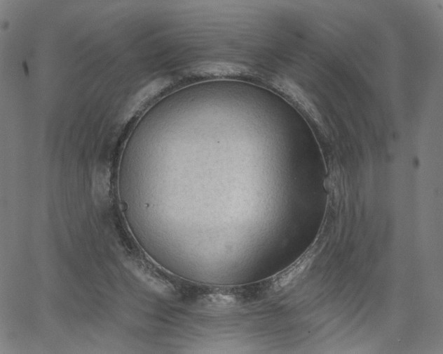 X0000065970159200603101406