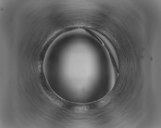 X0000065970160200603101406