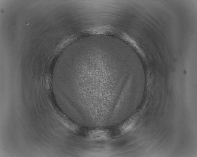 X0000065970161200603101406