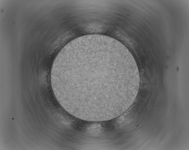 X0000065970162200603101406