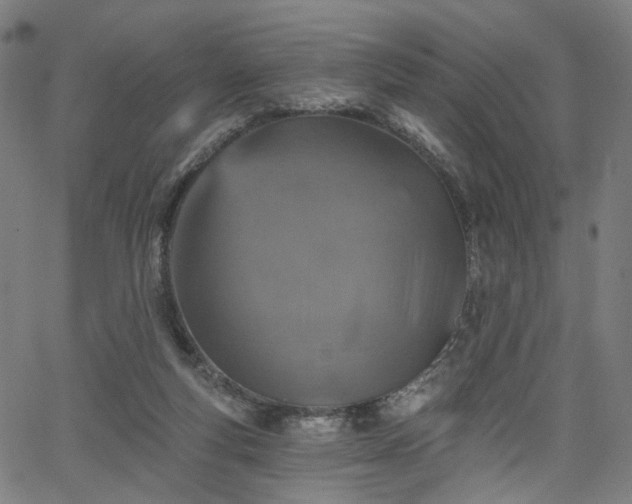 X0000065970163200603101406