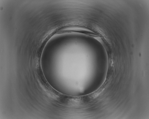 X0000065970164200603101406