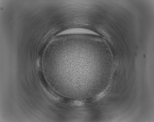 X0000065970166200603101406