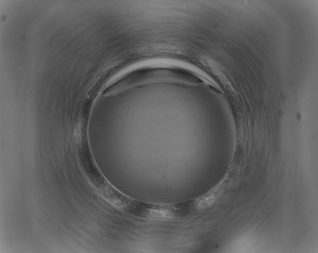 X0000065970167200603101406