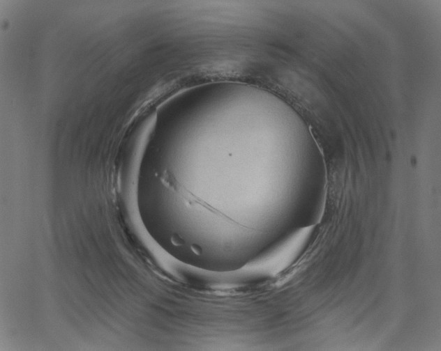 X0000065970168200603101406