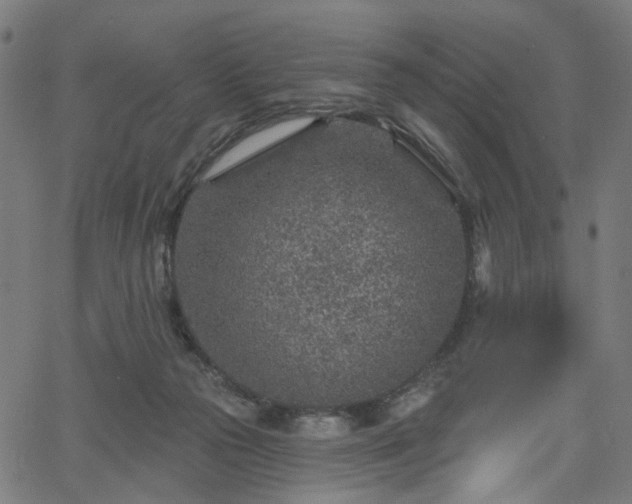 X0000065970169200603101406