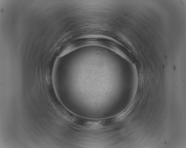 X0000065970170200603101406