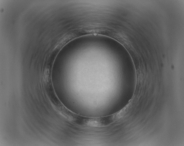 X0000065970171200603101406