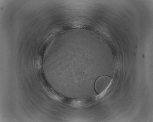 X0000065970174200603101406