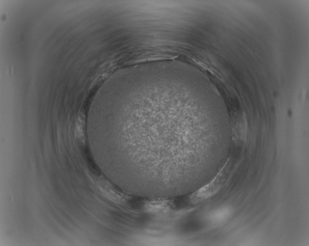 X0000065970175200603101406