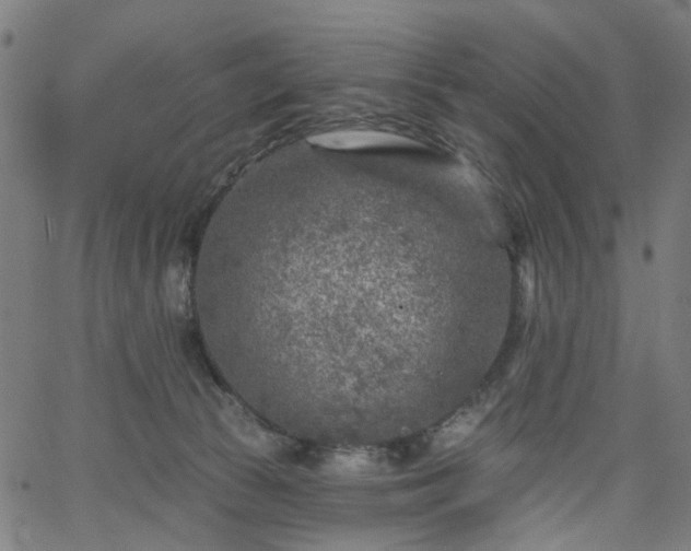 X0000065970177200603101406