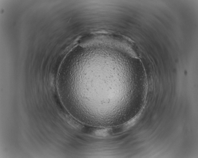 X0000065970178200603101406