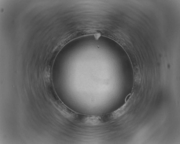 X0000065970179200603101406