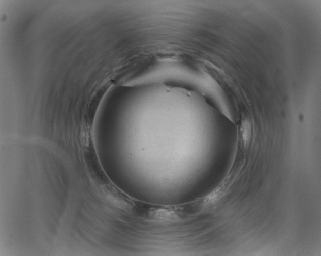 X0000065970180200603101406