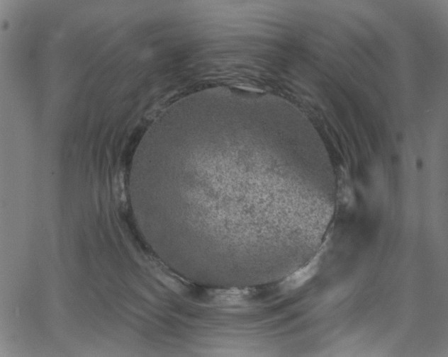 X0000065970182200603101406