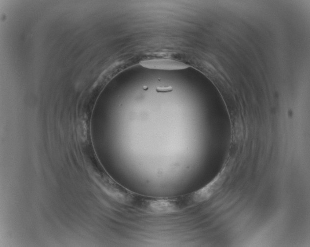 X0000065970183200603101406