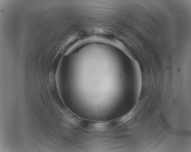 X0000065970184200603101406