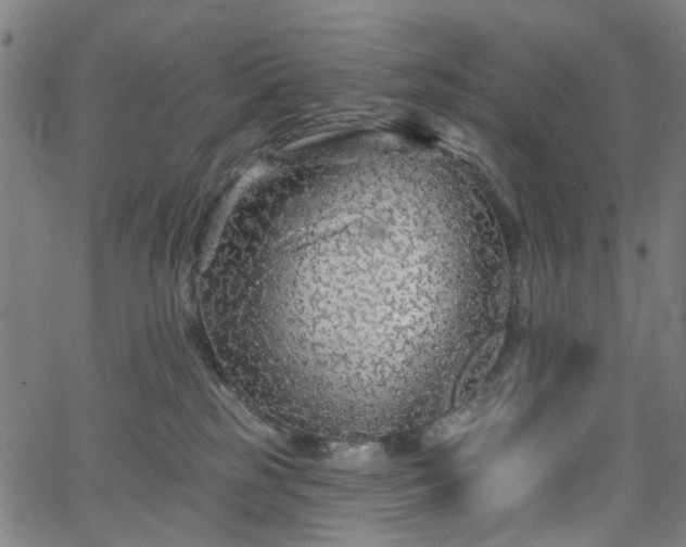 X0000065970185200603101406