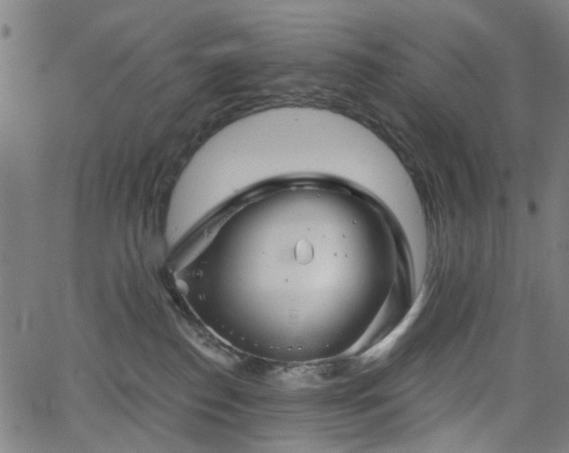 X0000065970186200603101406