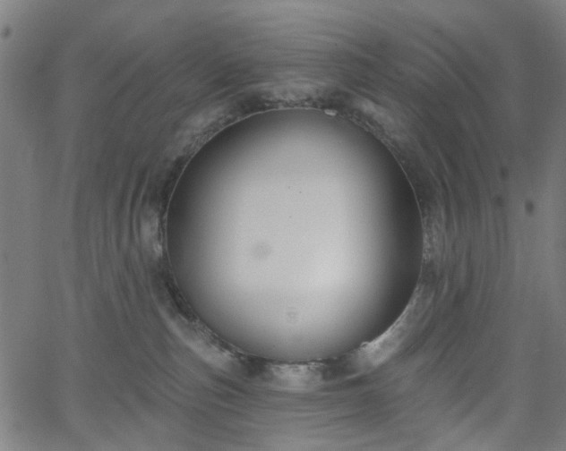 X0000065970187200603101406