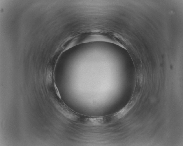 X0000065970188200603101406