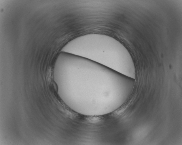 X0000065970189200603101406