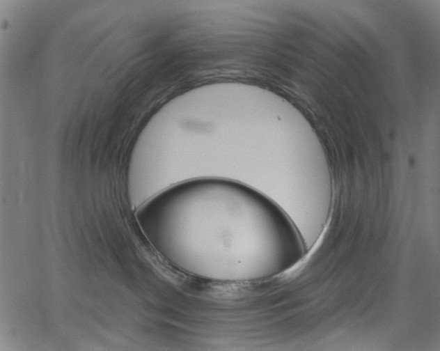 X0000065970190200603101406