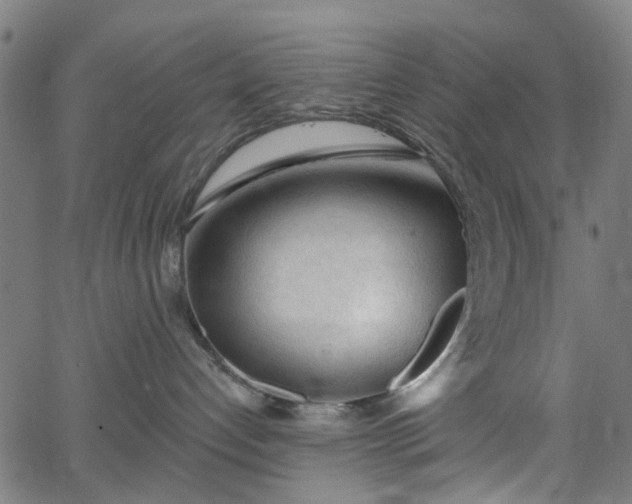 X0000065970192200603101406