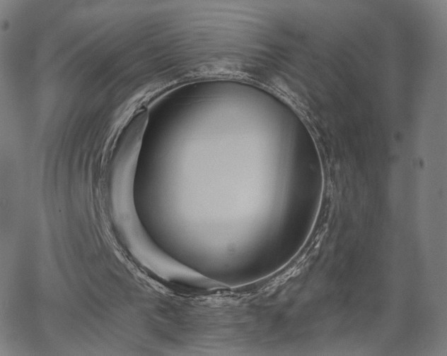 X0000065970193200603101406