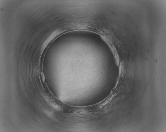 X0000065970195200603101406