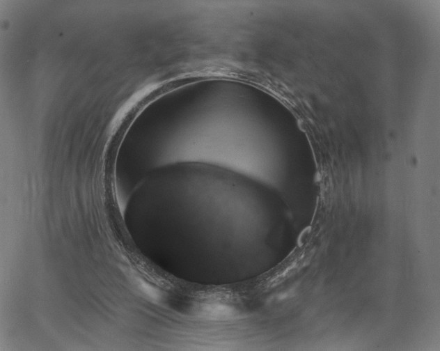 X0000065970200200603101405