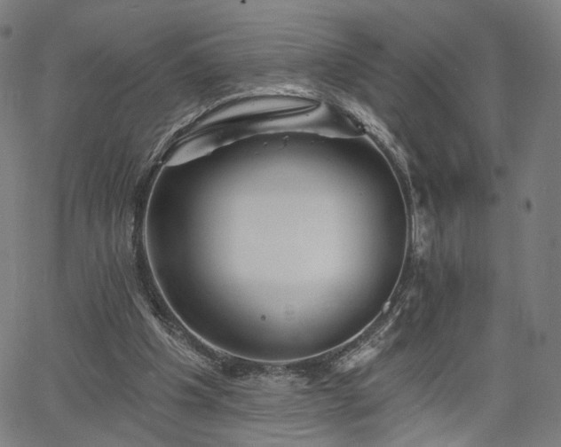 X0000065970201200603101405