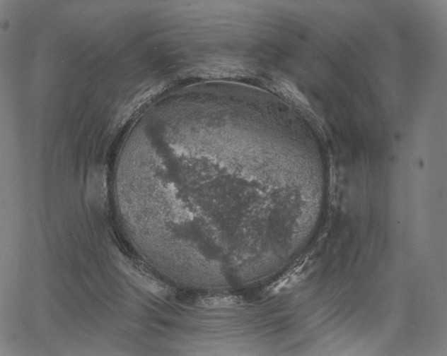 X0000065970202200603101405