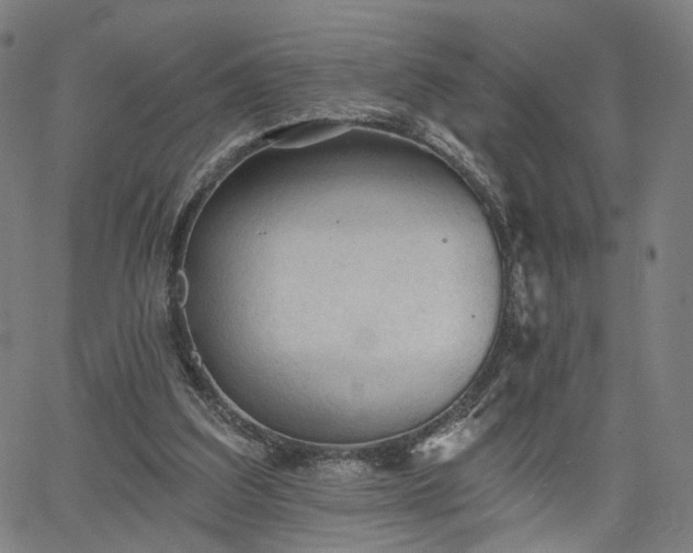 X0000065970203200603101405