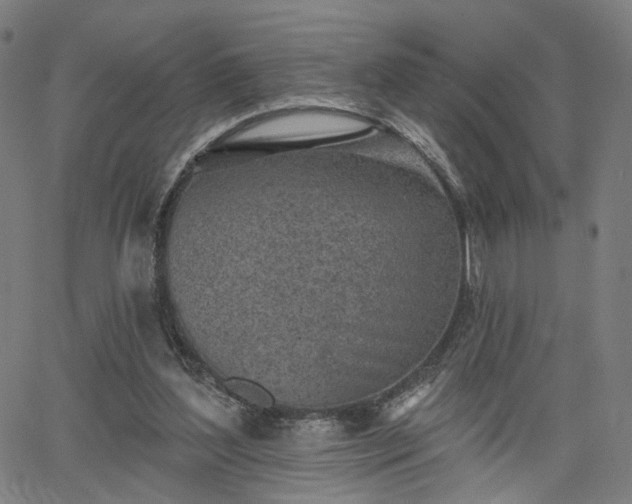 X0000065970204200603101405