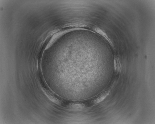 X0000065970205200603101405