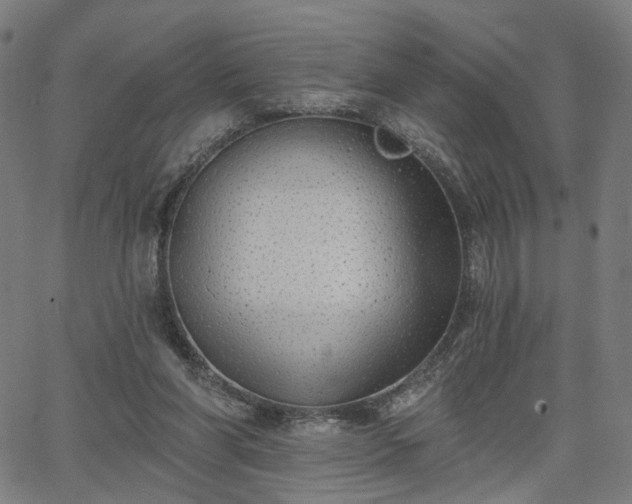 X0000065970206200603101405