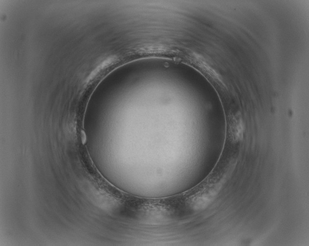 X0000065970207200603101405