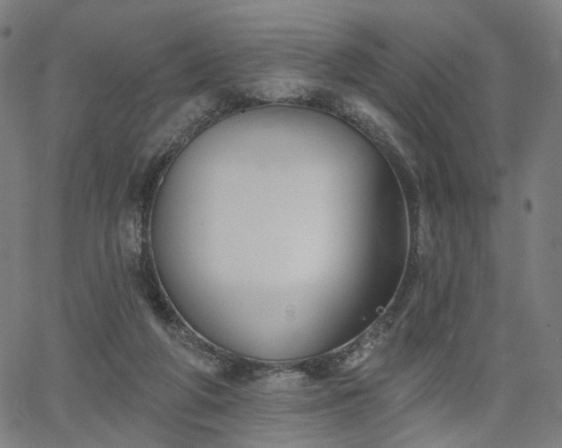 X0000065970210200603101405