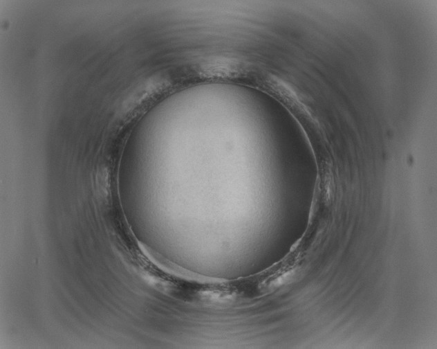 X0000065970211200603101405