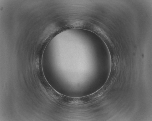 X0000065970212200603101405